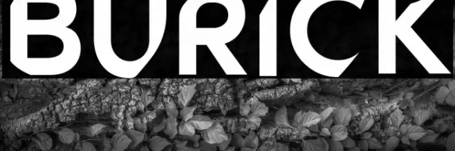 BURICK Font examples