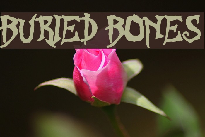 BURIED BONES Font examples