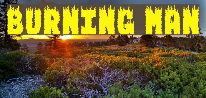 BURNING MAN Font examples