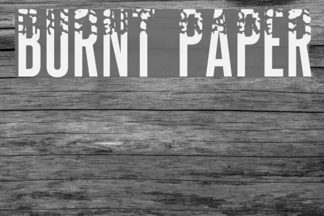 BURNT PAPER Example 2