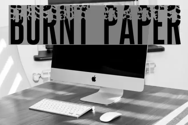 BURNT PAPER Example 3