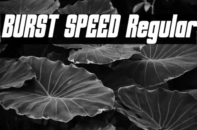 BURST SPEED Regular Font examples