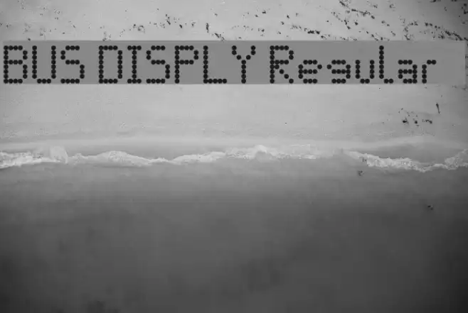 BUS DISPLY Regular Font examples