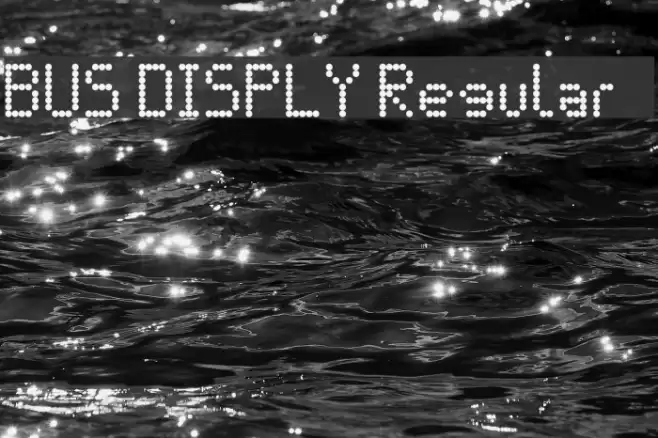BUS DISPLY Regular Font examples