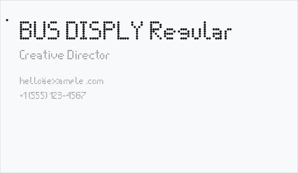 BUS DISPLY Regular Business Card