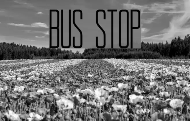 BUS STOP Font examples