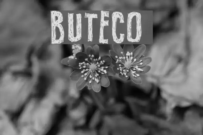 BUTECO フォント examples