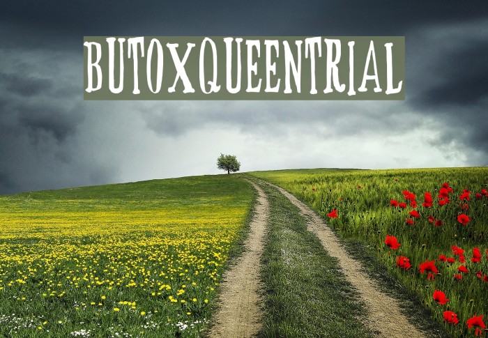 BUTOXQUEEN-trial Example 2