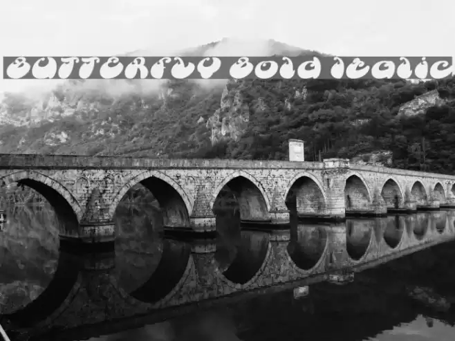 BUTTERFLY Bold Italic Font examples