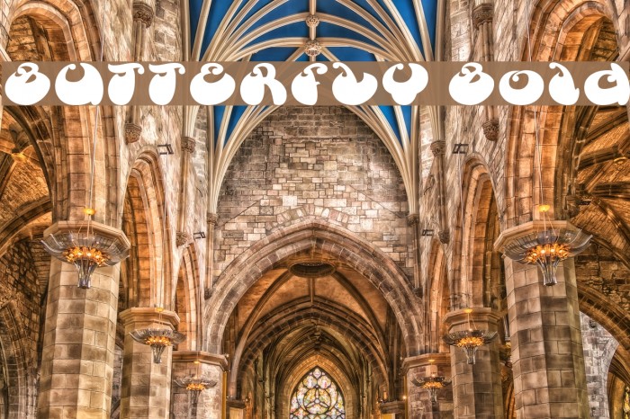 BUTTERFLY Bold Example 2