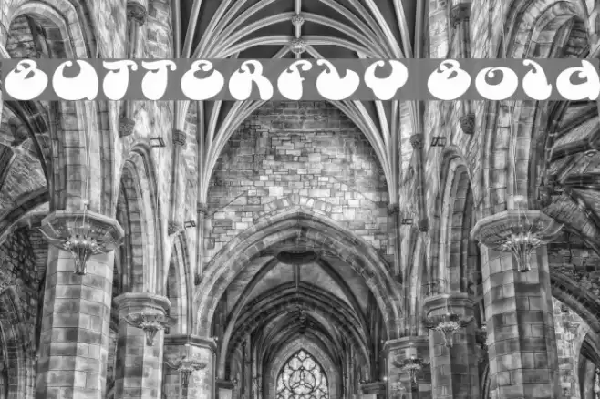 BUTTERFLY Bold Font examples