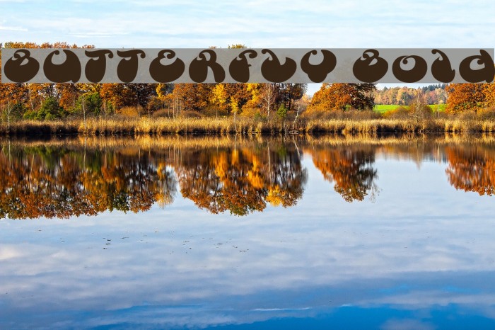 BUTTERFLY Bold Example 3