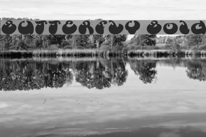 BUTTERFLY Bold Font examples