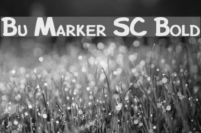 Bu Marker SC Bold Font examples