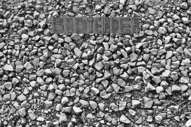 BuDtendEr Example 1