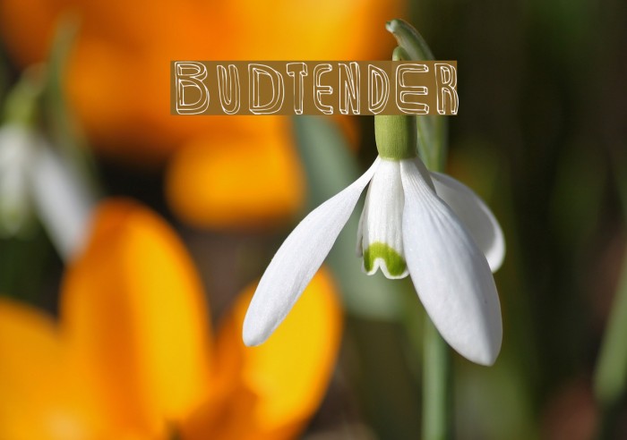 BuDtendEr Font examples