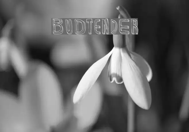 BuDtendEr Example 2