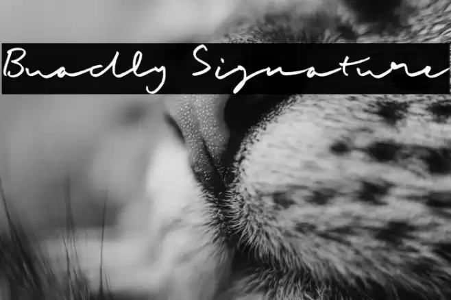 Buadly Signature Font examples
