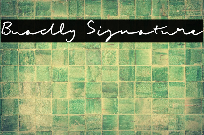 Buadly Signature Example 2