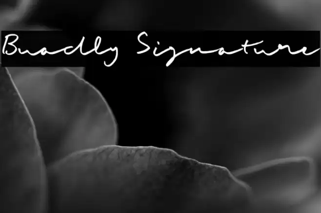 Buadly Signature Font examples