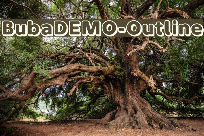 BubaDEMO-Outline Font examples