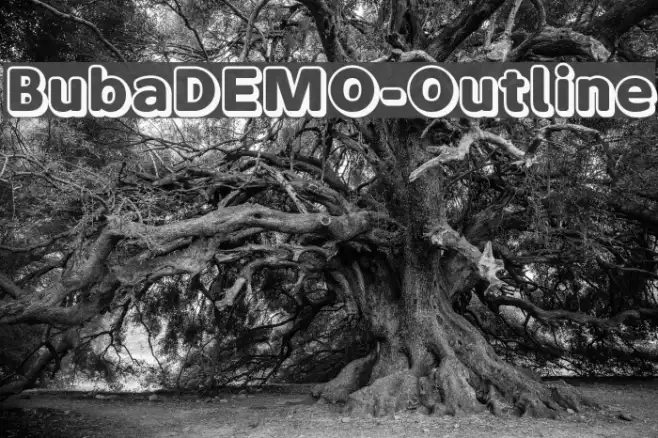 BubaDEMO-Outline Example 2