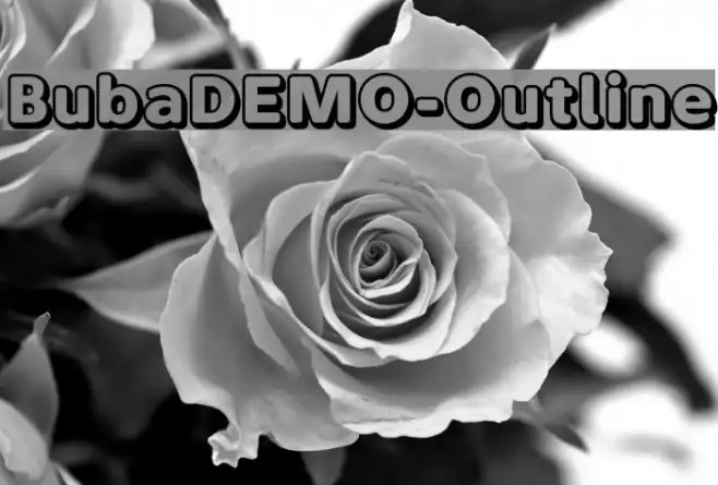 BubaDEMO-Outline Example 3