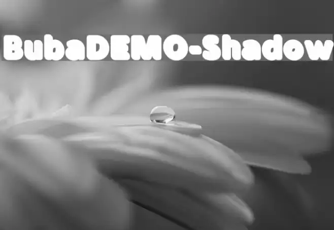 BubaDEMO-Shadow Example 1