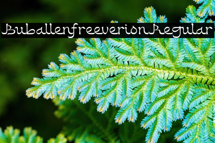 Buballen free version Regular Example 3