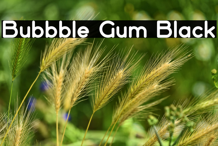 Bubbble Gum Black Example 2