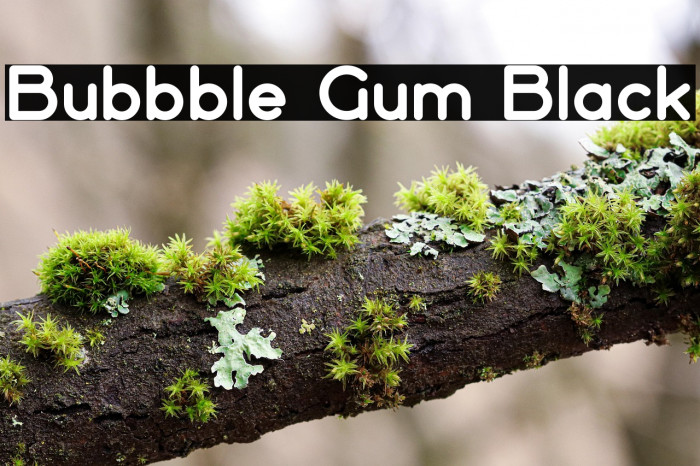 Bubbble Gum Black Example 3