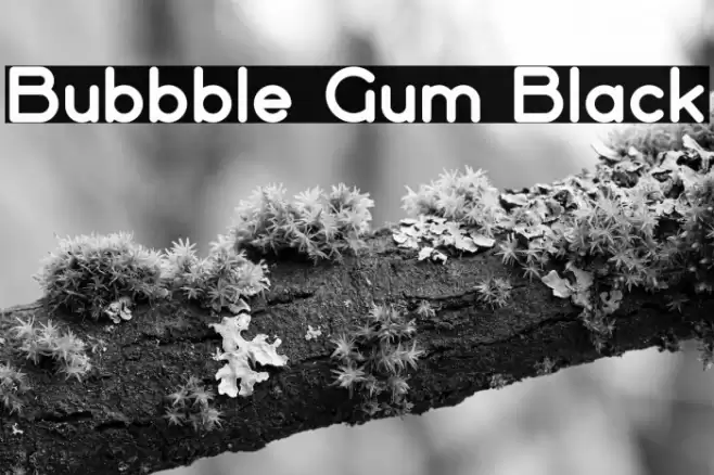Bubbble Gum Black Font examples