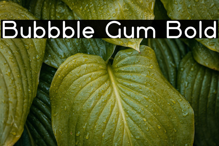 Bubbble Gum Bold Example 2