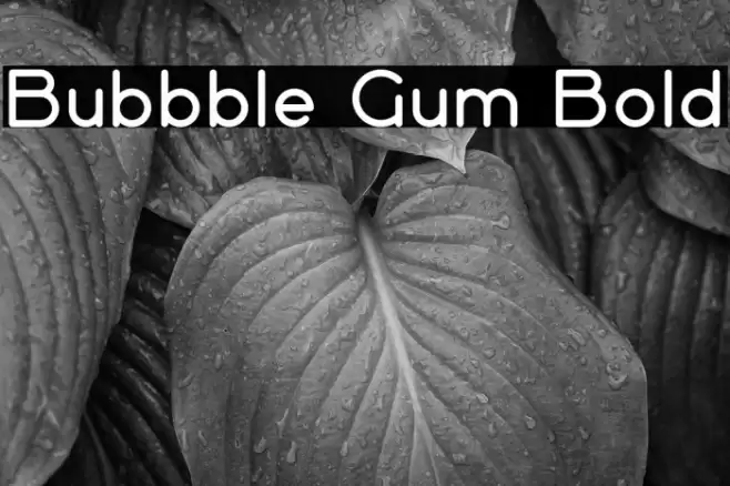 Bubbble Gum Bold Font examples