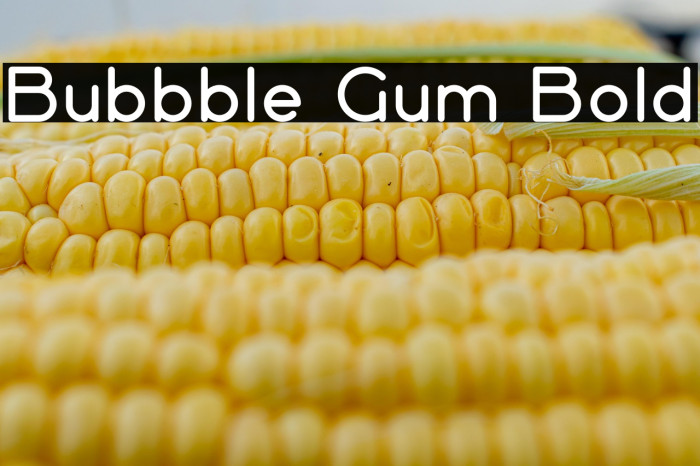 Bubbble Gum Bold Example 3