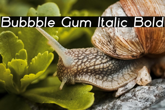 Bubbble Gum Italic Bold Example 1