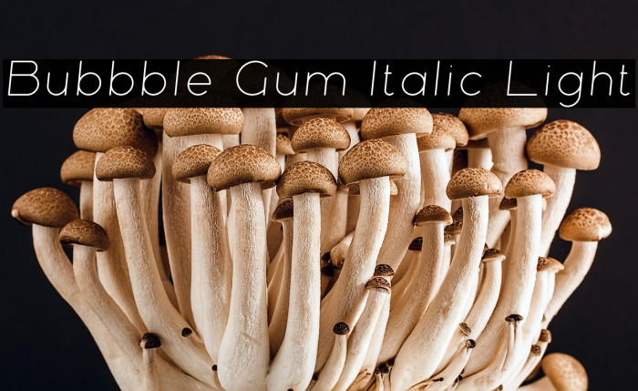Bubbble Gum Italic Light Example 1
