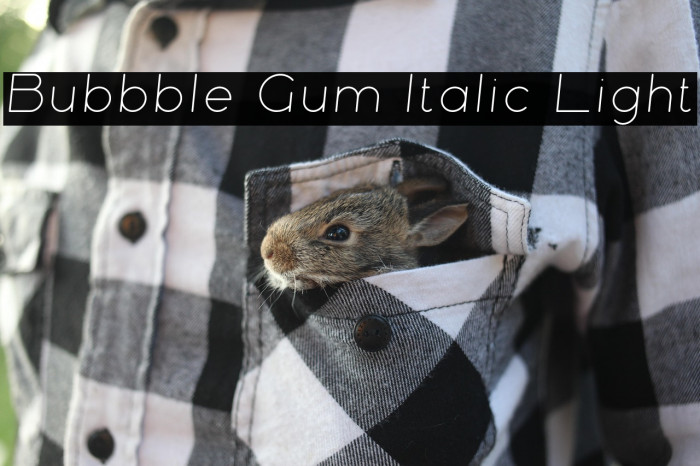 Bubbble Gum Italic Light Example 3