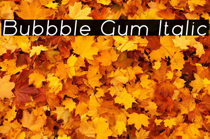 Bubbble Gum Italic Example 3