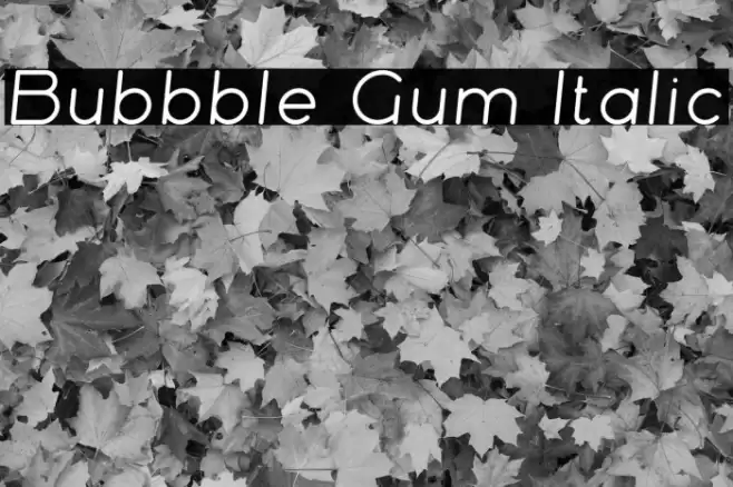 Bubbble Gum Italic Font examples