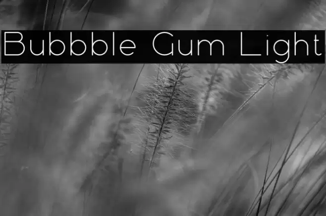 Bubbble Gum Light Font examples