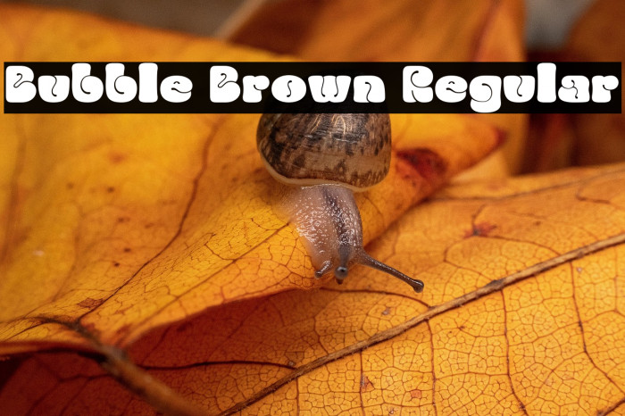 Bubble Brown Regular Example 2