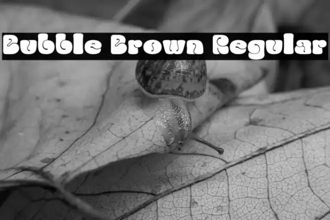 Bubble Brown Regular Fonte examples