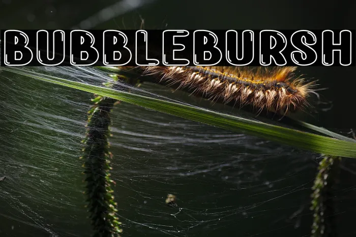 Bubble Bursh Example 2