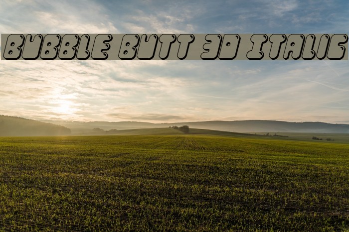 Bubble Butt 3D Italic Font examples