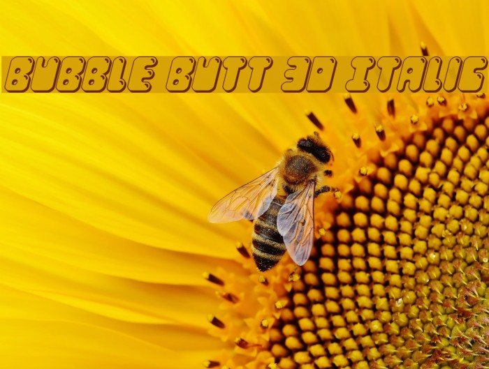 Bubble Butt 3D Italic Font examples