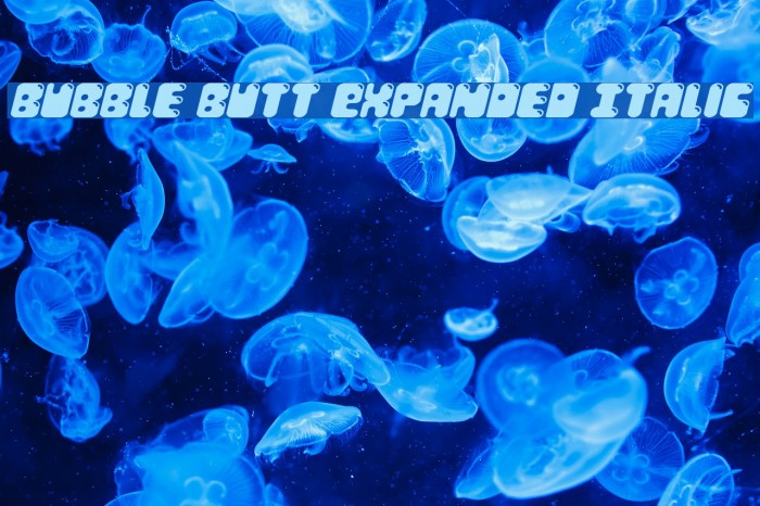 Bubble Butt Expanded Italic Font examples