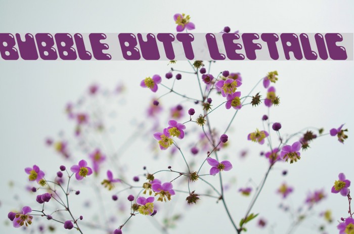 Bubble Butt Leftalic Font examples