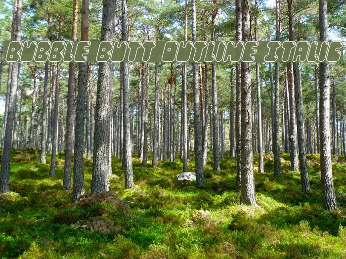 Bubble Butt Outline Italic Example 2