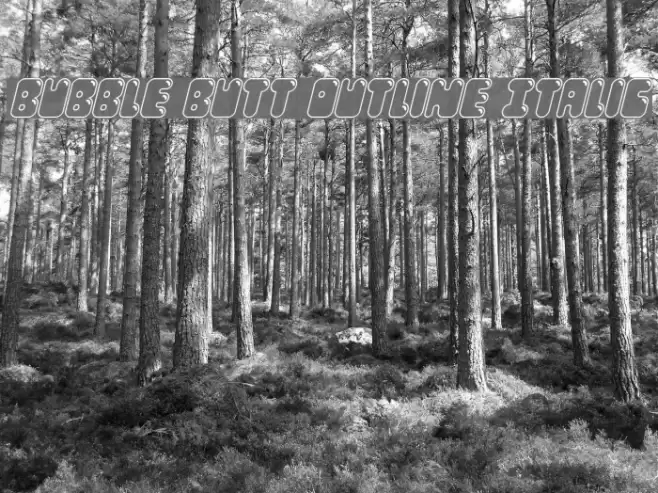 Bubble Butt Outline Italic Font examples